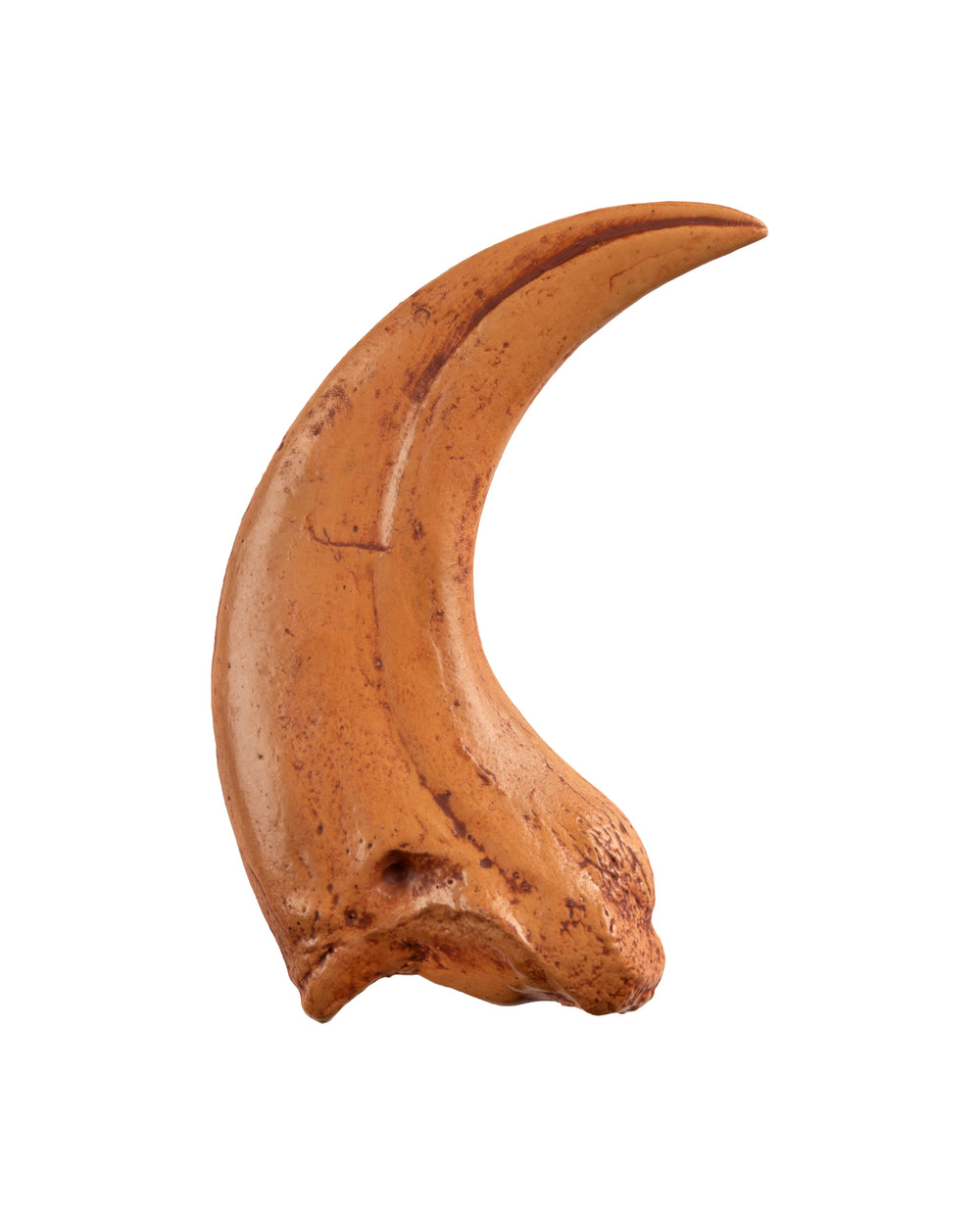 Raptor_Like_Claw