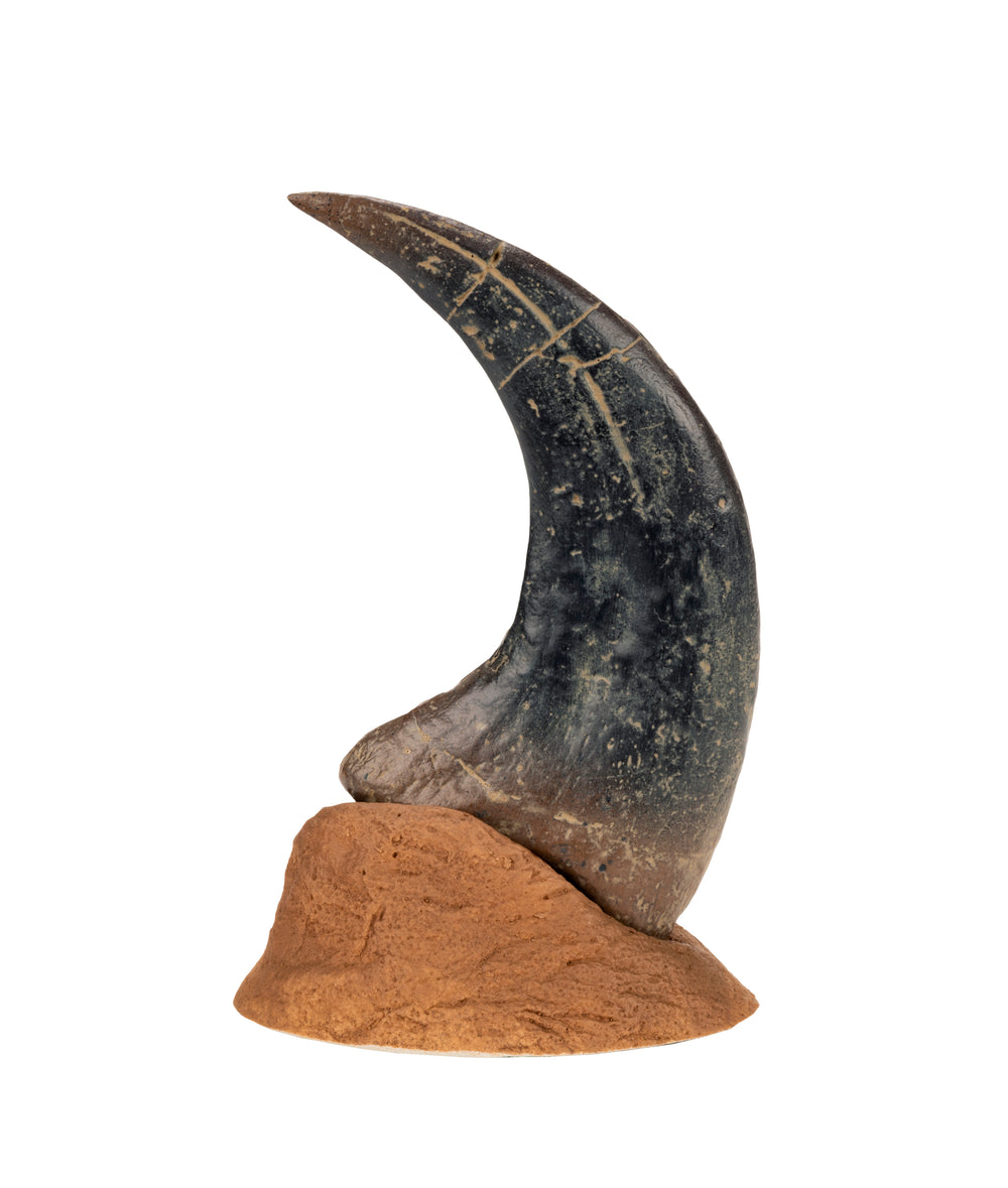 Utahraptor_Claw